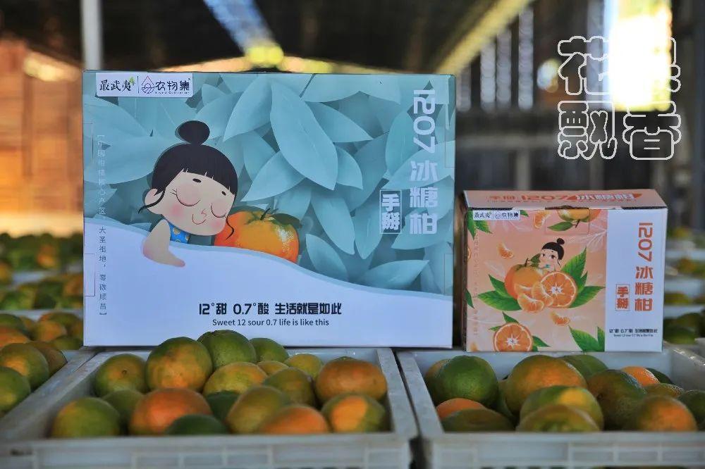 科研基地